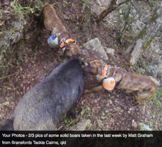 Screen Shot 2013-10-02 at 1.34.29 PM